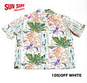 No.SS37467 SUN SURF サンサーフS/S RAYON HAWAIIAN SHIRT“AKAKA FALLS”