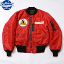 No.BR13905 BUZZ RICKSON 039 S バズリクソンズ Type RED MA-1 BUZZ RICKSON MFG.CORP. NORTHROP PATCH