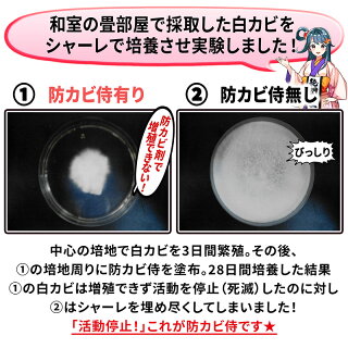楽天市場 カビ取り カビ防止 防カビ剤 防カビ侍 アルコールタイプ 350ml お風呂や部屋の壁紙 木材 畳 布団 カーペット 衣類 押入れ 本棚 クローゼット マットレス エアコンのカビ対策に 純閃堂楽天市場店 楽天市場 カビ取り カビ防止 防カビ剤 防カビ侍 アルコールタイプ 350ml お風呂や部屋の壁紙 木材 畳 布団 カーペット 衣類 押入れ 本棚 クローゼット マットレス エアコンのカビ対策に 純閃堂楽天市場店