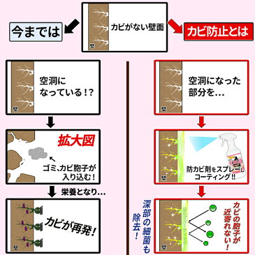 カビ防止 純閃堂防カビ侍アルコール 詰め替え用 防カビ剤 防カビスプレー 業界最長クラス カビ対策 効果≪約6ヶ月〜最長3年間≫ 風呂 木 壁 畳 床 下駄箱 本棚 カーテン マットレス エアコン 靴 布 カビ取り 後に使われる