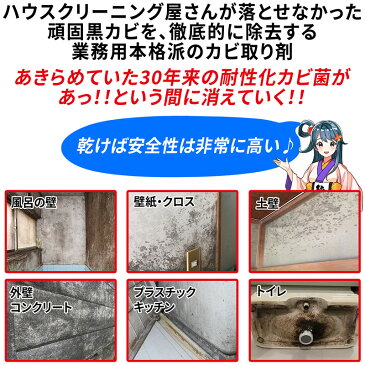 カビ カビ取り カビ取り侍 液スプレー 500g 強力タイプ お風呂 浴室や部屋の壁紙 クロス ユニットバス 土壁 珪藻土 キッチン ビニールクロス トイレ 外壁 エアコンの黒カビを強力 除去する業務用 カビ取り剤