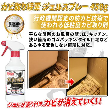 カビ カビ取り カビ取り将軍 ジェルスプレー 350g 超強力タイプ お風呂 風呂の壁 床 パッキン タイル目地に密着して黒カビを強力 除去するカビ掃除が楽になる 業務用 カビ取り剤