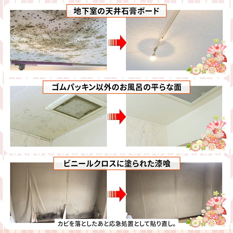 強力カビ取りカビ取り侍液スプレー1000g強力タイプ風呂部屋の壁紙土壁クロス詰め替え可能純閃堂風呂木材壁紙カビ除去布団カーテン畳外壁
