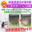 コケ取り侍 1kg 濃縮タイプ 液体/ 非塩素系のコケ取り剤でブロック塀 玄関 外壁 コンクリート ベランダなどの苔を強力に除去！10倍濃縮タイプでは広範囲の青コケに対応！残留効果付きで次の苔の繁殖を防止 / KZ-MS10 2