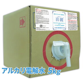 強力 アルカリ電解水 喜麗（KIREI）5kg /ノンアルコールで非塩素系、界面活性剤不使用の純水で製造した水の洗浄剤 /風呂 キッチン トイレの油汚れ 皮脂 垢などを溶かして除菌 消臭 /50倍まで希釈できて多目的に使えるアルカリイオン電解水のエコな洗剤で掃除 /KIREI-D5000