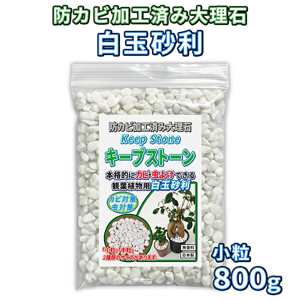 植物 観葉植物 白玉砂利 小粒 800g 防カビ加工済み大理石 キープストーン /防カビ加工した化粧石で土のカビ防止 /植木鉢 プランターのカビ対策とカビ予防 /部屋 室内 屋外の観葉植物を白カビからガードしてインテリアを維持。マルチング材や虫よけにも /ホワイト KSC08-W