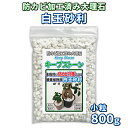 観葉植物の防カビ石 キープストーン 白玉砂利 小粒 800g/小さな鉢の植物用/観葉植物の土に生えるカビを防止する防カビ加工された大理石で可愛くデザイン/防カビ剤 カビ対策 消臭 白カビ 青カビ マルチング材 化粧石 マーブル 白色 ホワイト 植木鉢 虫よけ/KSC08-W