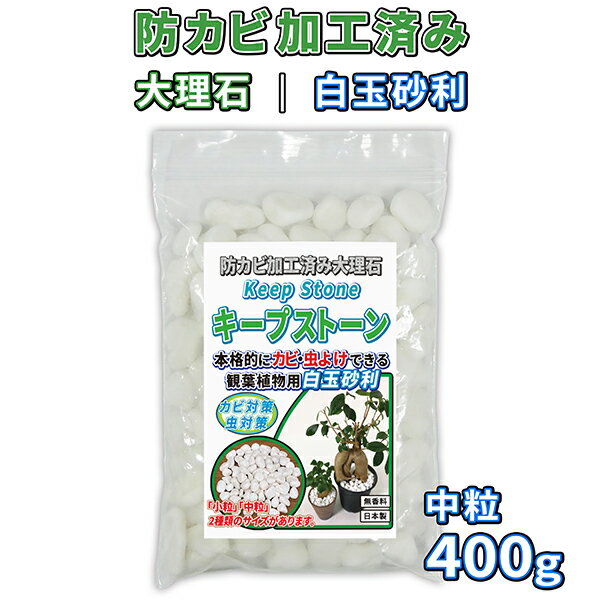 植物 観葉植物 白玉砂利 中粒 400g 防カビ加工済み大理石 キープストーン /防カビ加工した化粧石で土のカビ防止 /植木鉢 プランターのカビ対策とカビ予防 /部屋 室内 屋外の観葉植物を白カビか…