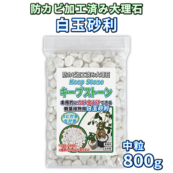 植物 観葉植物 白玉砂利 中粒 800g 防カビ加工済み大理石 キープストーン /防カビ加工した化粧石で土のカビ防止 /植木鉢 プランターのカビ対策とカビ予防 /部屋 室内 屋外の観葉植物を白カビか…