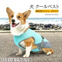 ひんやりベスト ペット用【2点購入で400円OFFクーポン】ペット用 クールベスト 犬 夏用 ひんやりベスト 冷感タンクトップ メッシュ 犬冷感ウェア ひんやり クール 通気接触冷感 ひんやり クール 反射機能 暑さ対策 犬 服 春 夏 小型犬 中型犬 大型犬