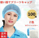 【最大600円クーポン】ヘアキャップ 業務用 不織布キャップ 使い捨て 帽子 クリーンキャップ 100枚 レストランキャップ アコーディオンタイプ プリーツタイプ ヘアキャップ 業務用 不織布ヘアキャップ