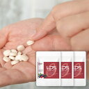 【阪急百貨店で好評】 LPS粒 90粒入 3袋セット【1日3粒120日分】 COREBI コレビ 免疫ビタミン リポポリサッカライド 乳酸菌 GABA 自然免疫...