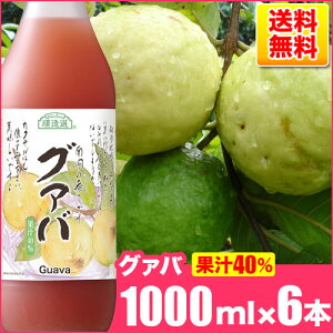 送料無料 順造選 グァバ （果汁40％グァバジュース）1000ml×6本入りセット グアバジュース グアバ