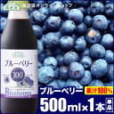 無添加 果汁100% ブルーベリー100 500ml