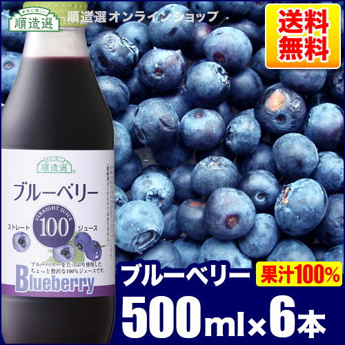 送料無料 果汁100％ ブルーベリー100 ジュース500ml×6本入りセット 順造選 無添加 ストレート ブルーベリージュース 100％