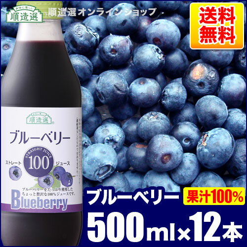 送料無料 果汁100％ ブルーベリー 100 500ml×12本入りセット 順造選 無添加 ストレート ブルーベリージュース 100％