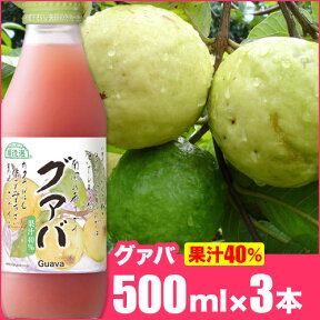 【 ポイント5倍 4/24 20:00～4/27 09:59】順造選 グァバ （果汁40％グァバジュース）500ml×3本入りセット グアバジュース グアバ