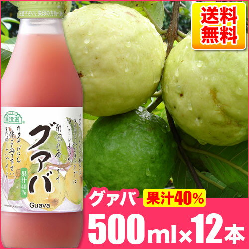 順造選 グァバ 500ml×12本入りセット 送料無料 果汁40％グァバジュース グアバジュース グアバ