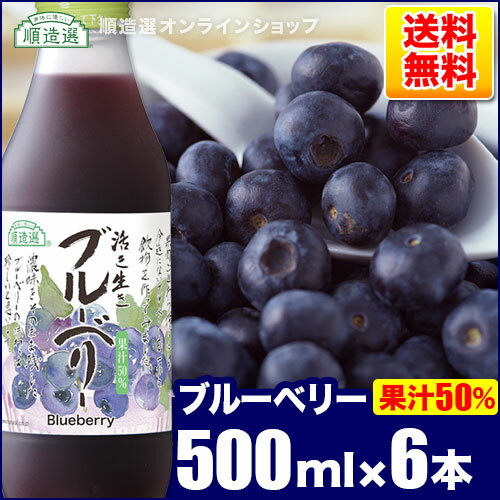 順造選 ブルーベリー （果汁50％ブルーベリージュース）500ml×6本入りセット