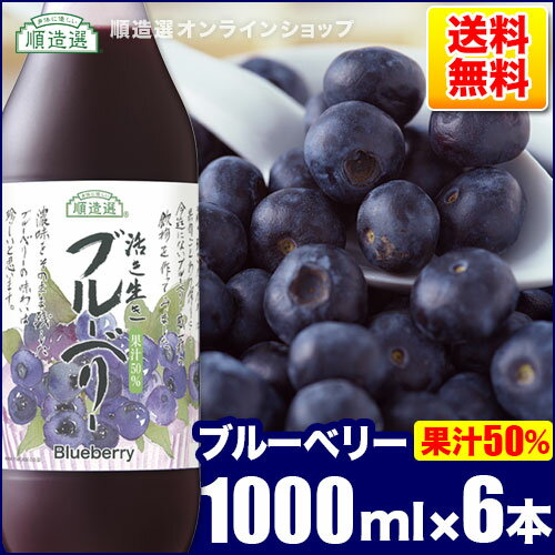 送料無料 ブルーベリー ジュース（果汁50％）1000ml×6本入りセット順造選 ブルーベリージュース