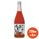 食塩無添加 力一杯の旨いとまと 720ml×6本 トマトジュース 無塩 濃 国産 無塩無添加 トマト とまと 野菜ジュース 100％ 100％ジュース 桃太郎 東白川村 プレミアム