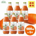 果汁100 人参ジュース 1000ml×6本入りセット 順造選 にんじんジュース 人参 ジュース にんじん ニンジン 野菜ジュース 無加糖 無着色 無香料