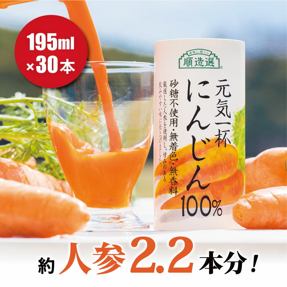 果汁100％ 元気一杯 にんじん100％ 195