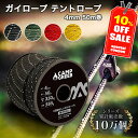 ＼10％OFFクーポンで2,142円 ガイロープ パラコード テントロープ 4mm 50m巻 最強 丈夫 安心 自在金具12個付 反射材 CAMP GREEB キャンプグリーブ おしゃれ タープロープ ガイドロープ 4色 350kg超耐久 【シリーズ累計10万個！】【月間優良ショップ】