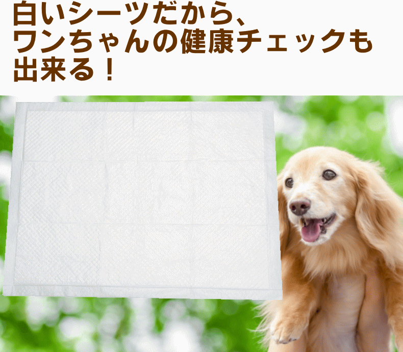 純国産ペットシーツ　レギュラー600枚(白色)[送料無料]