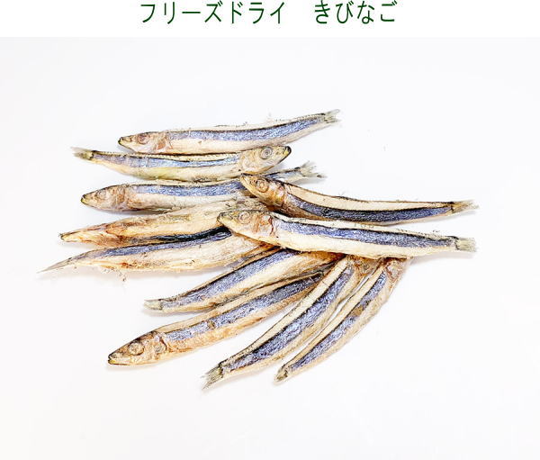 フリーズドライきびなご1kg(500g×2)　犬用おやつ・フード送料無料 1