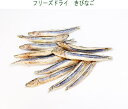 フリーズドライきびなご1kg(500g×2)　犬用おやつ・フード送料無料