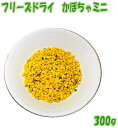 フリーズドライ かぼちゃミニ 300g 犬用フード