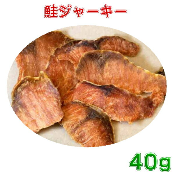 鮭ジャーキー40g　犬用おやつ　北海道産　ネコポス便送料無料のサムネイル