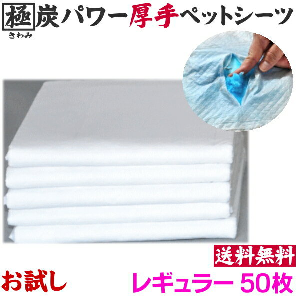 ちょこっとお試し 極炭パワー 厚型ペットシーツ レギュラー50枚【厚手・消臭】 送料無料