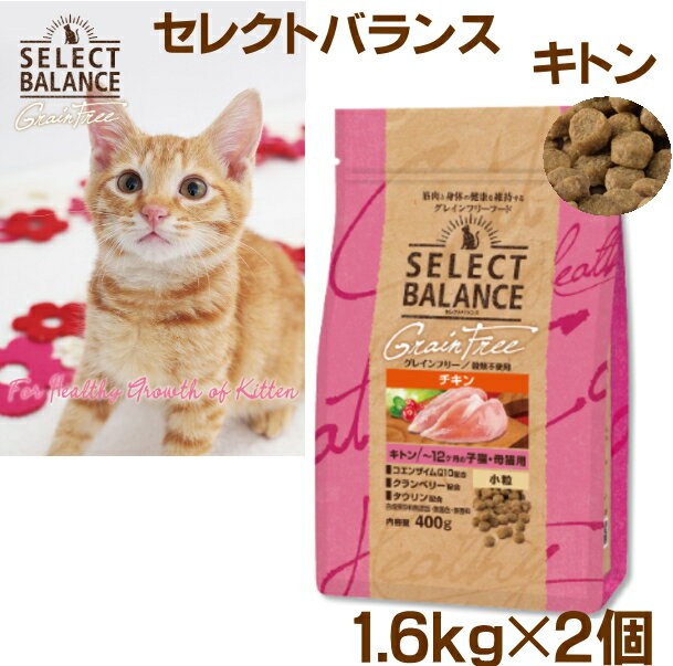 セレクトバランス 猫キトン1.6kg×2袋　グレインフリー 〜12ヶ月の 子猫・ 母猫用 小粒 チキン※送料無料