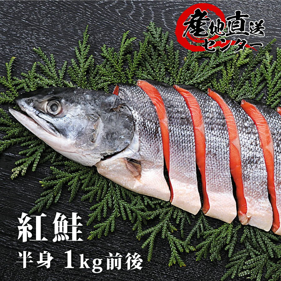 紅鮭 切り身 1kg 2切真空パック 天然 沖獲り 甘塩【 鮭...