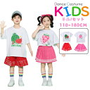 レッド ピンク ホワイト ベビー キッズ ダンス衣装 ヒップホップ HIPHOP 子供服 半袖 トップス スイカ柄 ショーツ パンツ 上下セット 女の子 男の子...