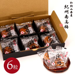 【香典返し 送料無料】 紀州南高梅 ギフト 6粒入り 梅干し はちみつ 個包装 セット 詰合せ メーカー包装済 外のし対応 引き出物 四十九日 引出物 お返し 喪中 法事 お供え 初盆 満中陰志 忌明け 49日 挨拶状 粗供養 品物 お礼