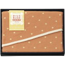 【香典返し 送料無料】 寝具 シングル ギフト 毛布 ブランケット アクリル ひざ掛け まいにちあったか 膝掛け 肩掛け ポンチョ 防寒 高品質 日本製 引き出物 四十九日 引出物 お返し 喪中 法事 お供え物 満中陰志 忌明け 49日 挨拶状 粗供養 品物 お礼 MF-9406(3)