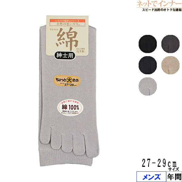 Rakuten - いたわり設計 自然の思いやり メンズ 5本指ソックス さわやか綿 年間 91-840[27-29サイズ]