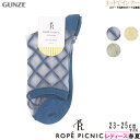 GUNZE(グンゼ)ROPE PICNIC(ロペピクニック) レディース シースルソックス ダイヤチェック柄 春夏用 RPV512 23-25サイズ