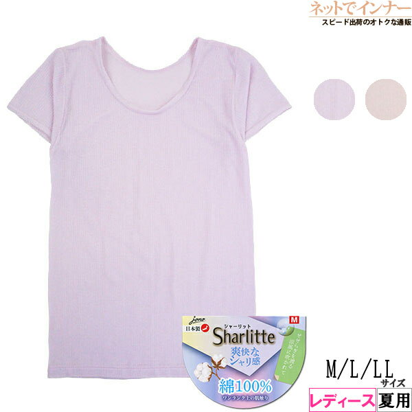 Sharlitte 3ʬµ����ʡ� Ⱦµ ��ǥ����� ��100% ������ �ֲ��ʥ���괶 ���㡼��å� ���� 6511[M��L��LL������]