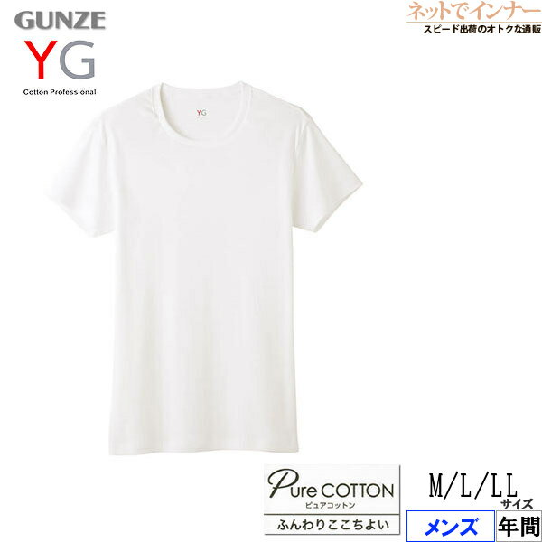 Rakuten - グンゼ YG 半袖インナー クルーネックTシャツ メンズ 本体綿100% ピュアコットン 丸首 ワイジー 年間 YVP013A[M、L、LLサイズ]