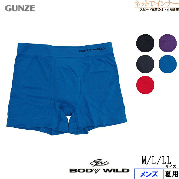 GUNZE(グンゼ)BODYWILD メンズ ボクサーブリーフ(前とじ) 3D-BOXER メッシュ 夏用 BWS872J