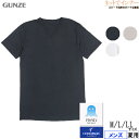 GUNZE(グンゼ)クールマジック アセドロン メンズ VネックTシャツ 鹿の子素材 夏用 MCA715[M、L、LLサイズ]