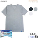 GUNZE(グンゼ)クールマジック メンズ VネックTシャツ 100%天然冷感 日本製 綿100% 夏用 MCA515H