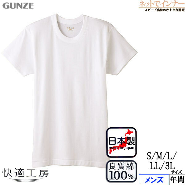 GUNZE()Ŭ˼  Ⱦµݼ 餫Ǻ ե饤Ԥ 100% ǯ KQ5014[3LSMLLL]