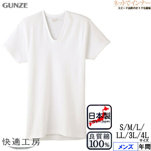 GUNZE()Ŭ˼  ȾµU 餫Ǻ ե饤Ԥ 100% ǯ KQ5016[3L4LSMLLL]