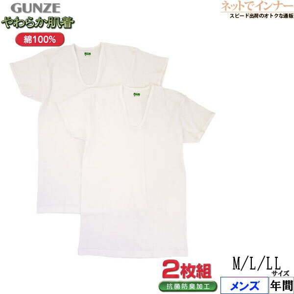 GUNZE()  ȾµU󥷥 餫ȩ 2 100% ǯ SV61162[MLLL]