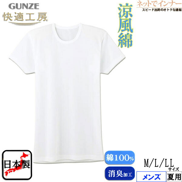 GUNZE()Ŭ˼   Ⱦµݼ  100%  KQ6414[MLLL]